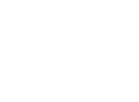 GT Performance Consulting banner logo